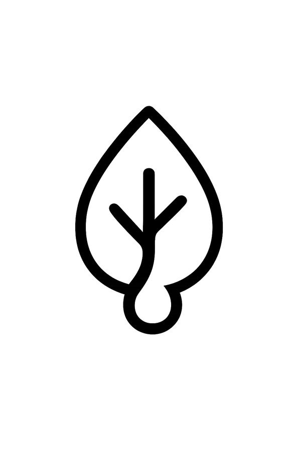 favicon Serevo